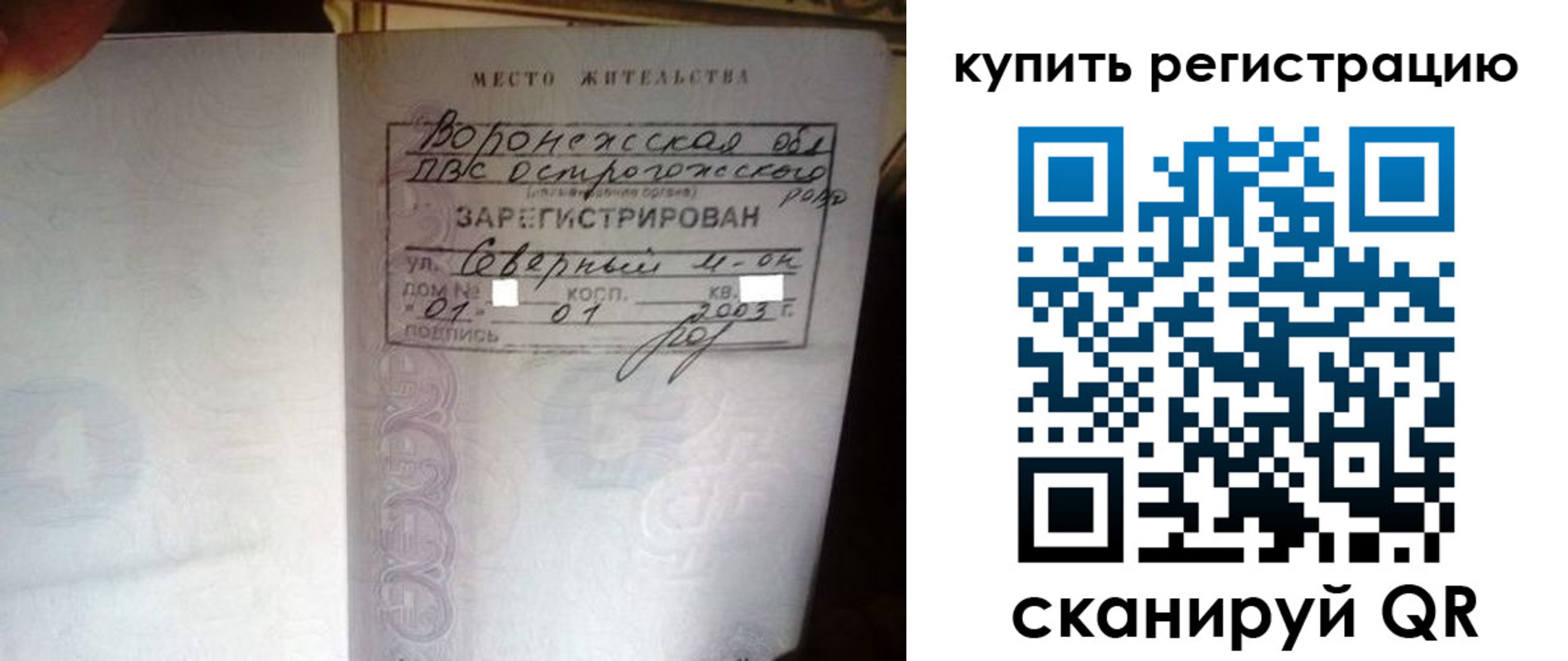 прописка поиск в Ермолино